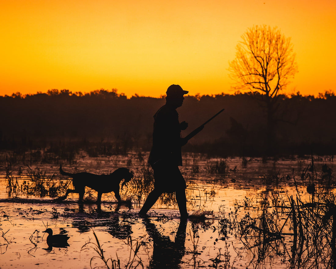 How Weather Affects Spinning Wing Decoy Effectiveness (And When to Use Them)