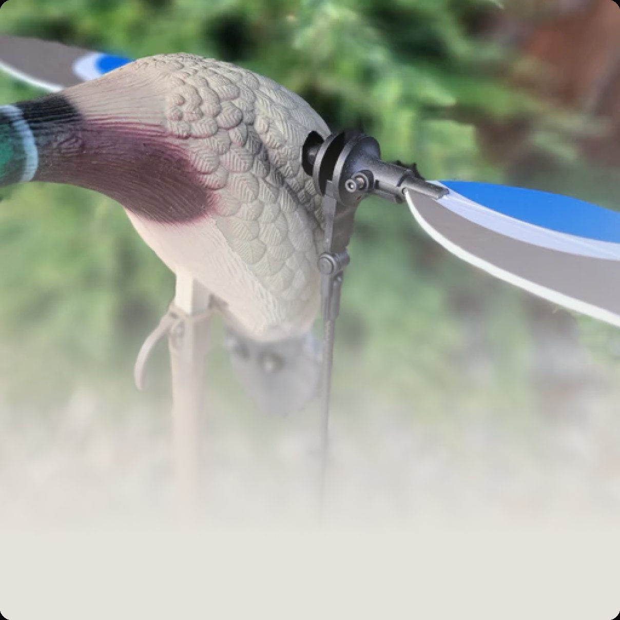 Mojo Duck Animator Hunting Decoys Blue Bird Waterfowl THE ANIMATOR