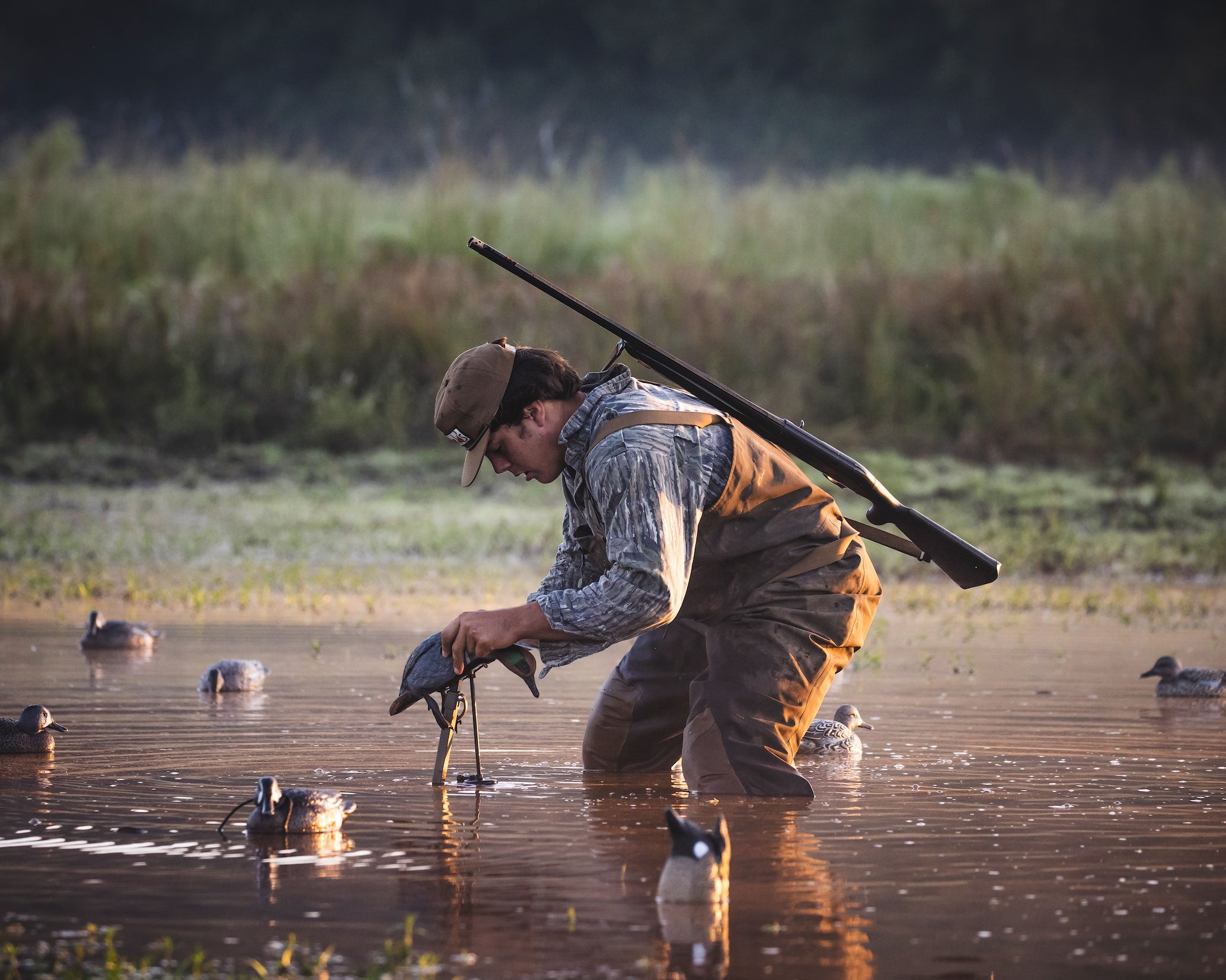 Man in waders with a rifle over his shoulder, standing in water with ducks nearby.