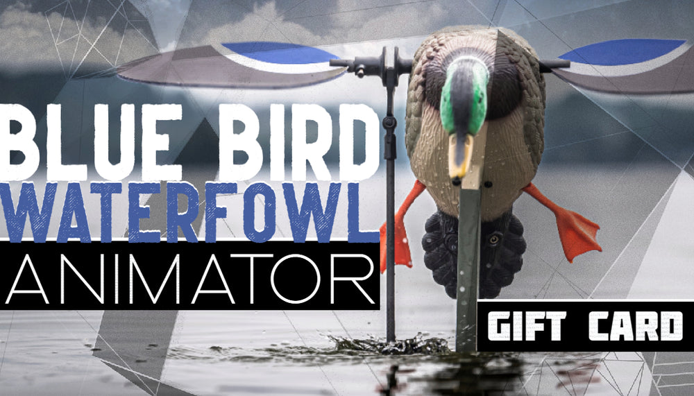 THE ANIMATOR GIFT CARD