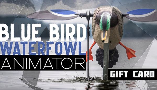 THE ANIMATOR GIFT CARD