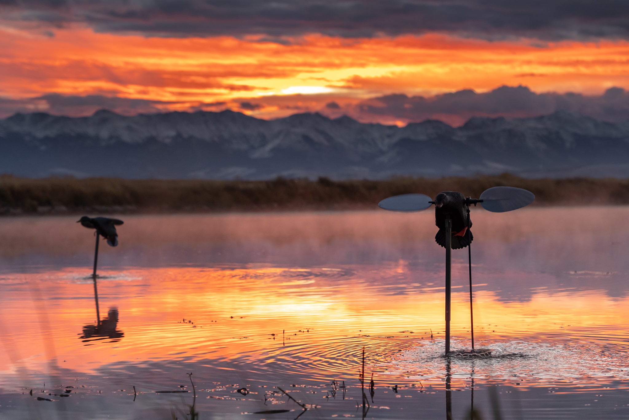 Sunset over a lake with mountains in the background, featuring two duck decoys with the animator by blue bird waterfowl attached