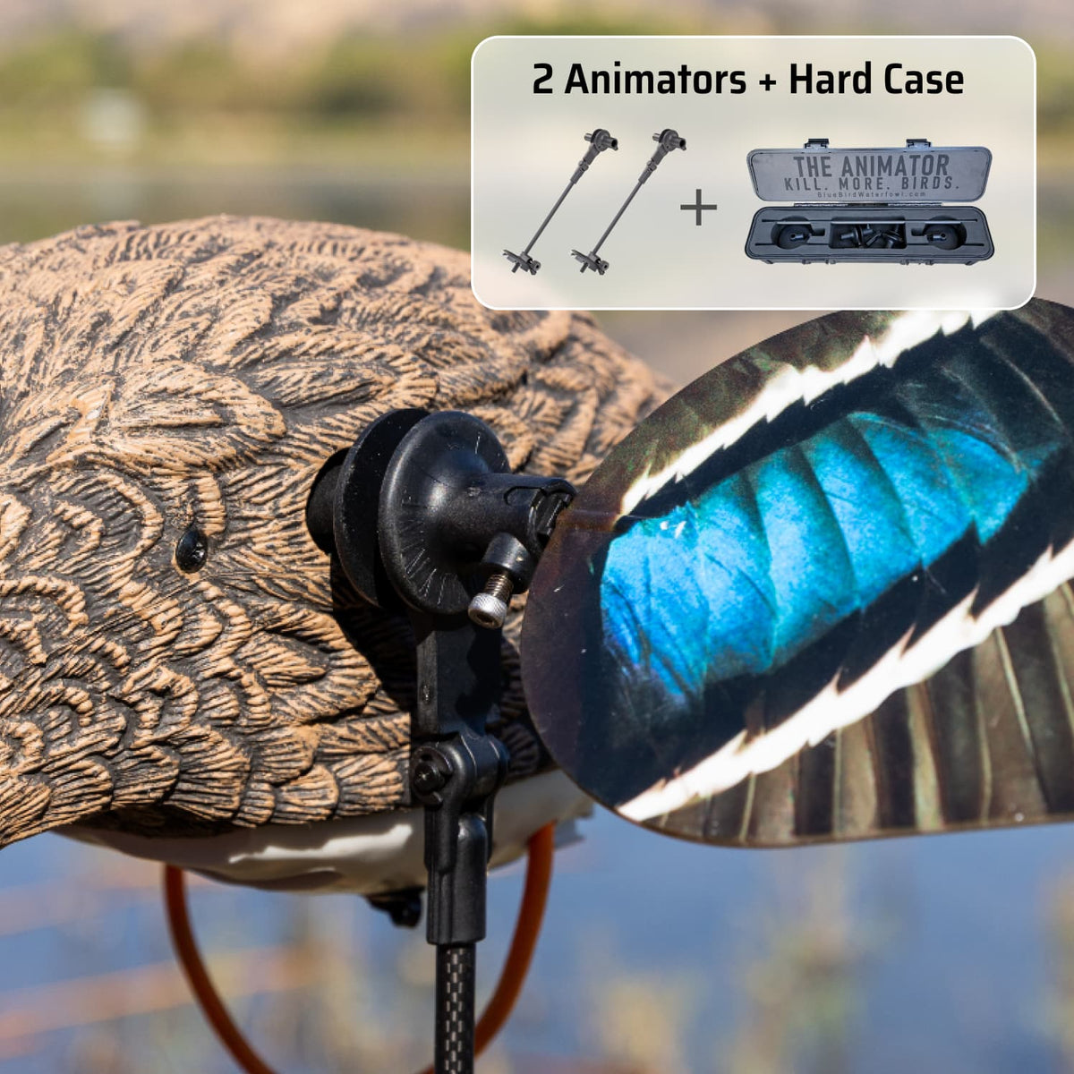 Duck Decoy Animators & Water Motion Systems | Blue Bird Waterfowl