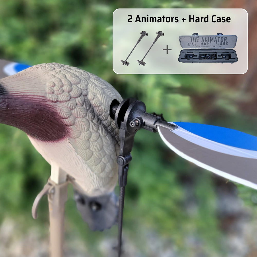 Mojo Baby & Original Teal Bundle