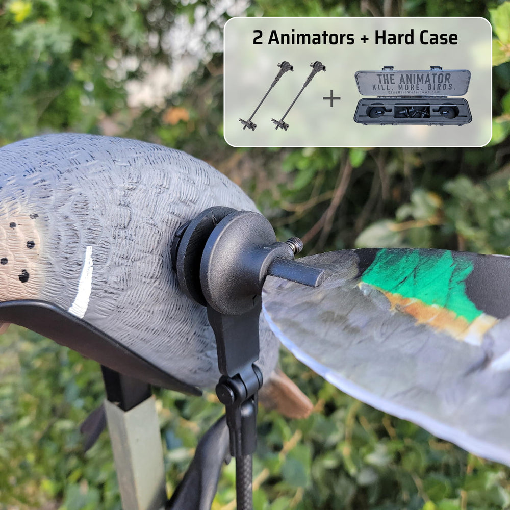 Mojo Elite Series Teal GWT & BWT Bundle