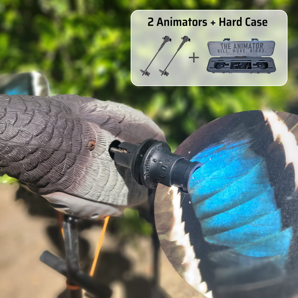 Super Lucky Duck Bundle