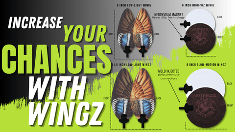 WINGZ