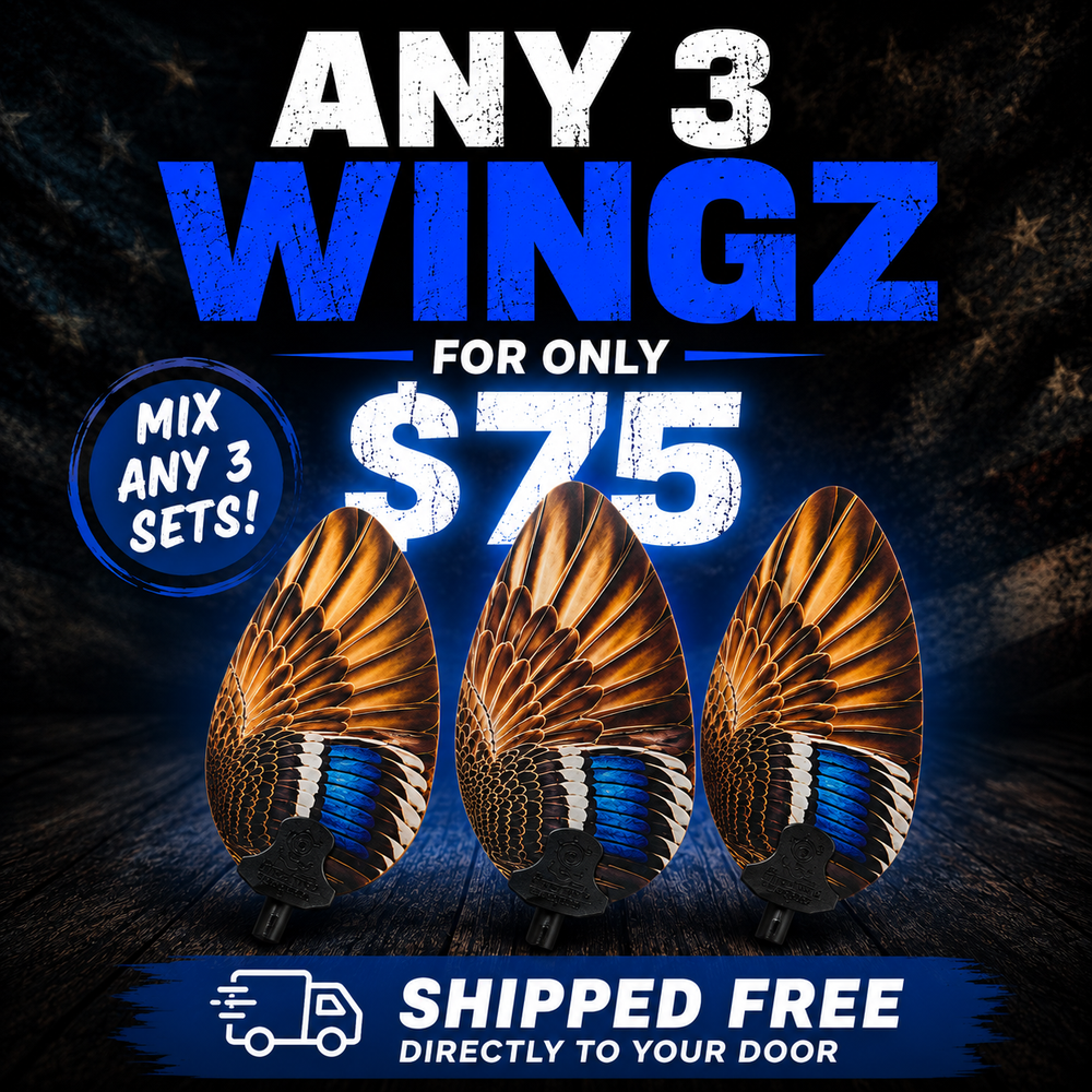 Mix & Match WINGZ 3-Pack