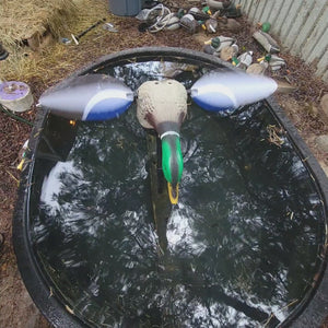 Mojo Baby Water Teal